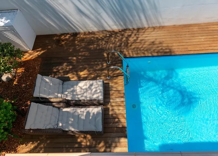 Dafni プロタラス